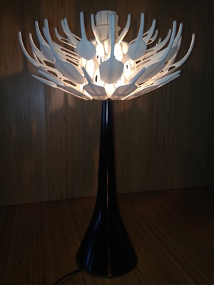 時(shí)光流轉(zhuǎn)的藝術(shù) 3D打印開(kāi)合燈與鐘表的融合設(shè)計(jì)